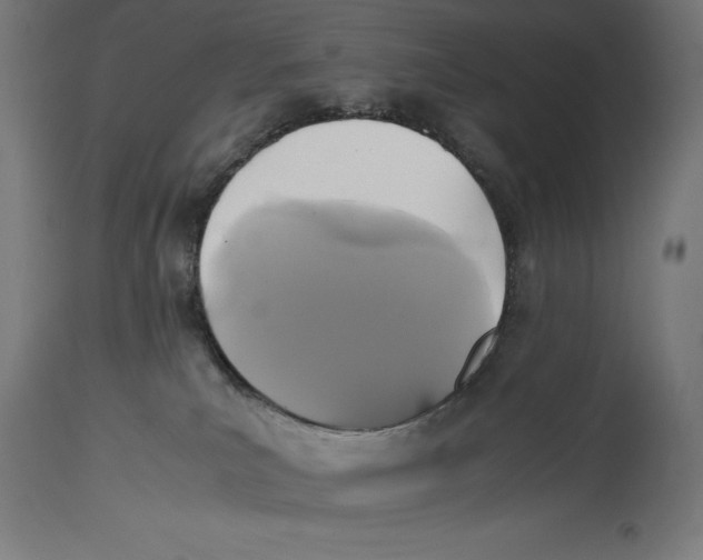 X0000114390039200911131353