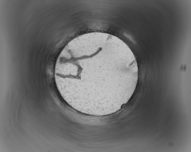 X0000114390040200911131353