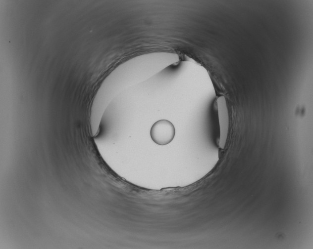 X0000114390041200911131353