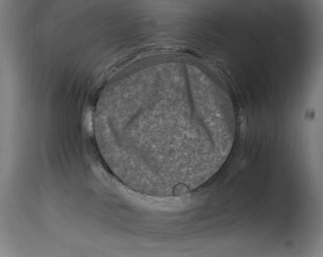 X0000114390042200911131353