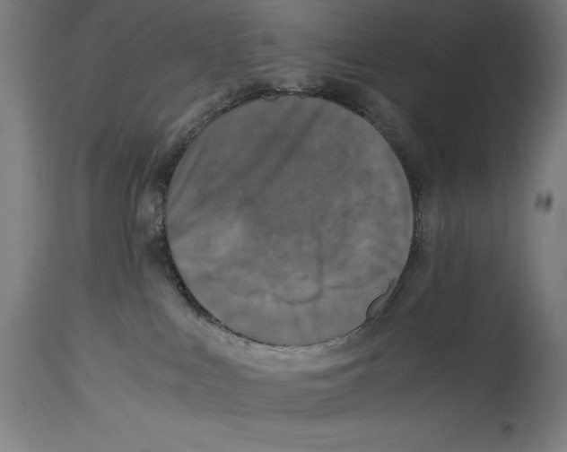 X0000114390043200911131353