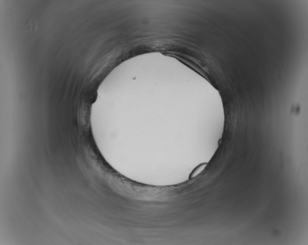 X0000114390044200911131353