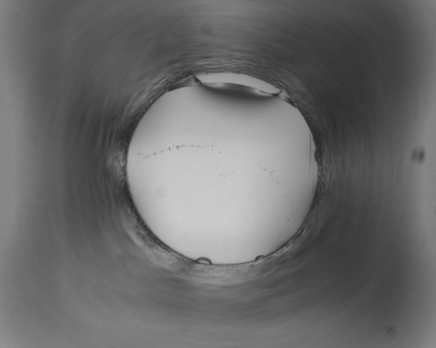 X0000114390045200911131353