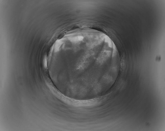 X0000114390046200911131353