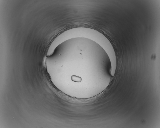 X0000114390047200911131353