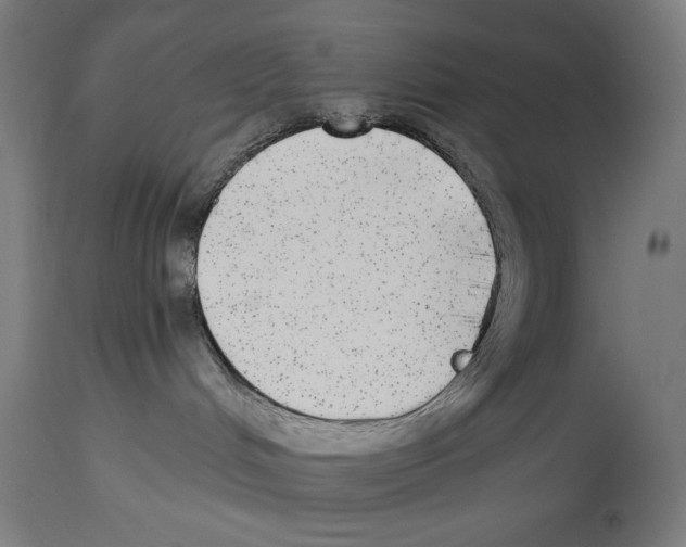 X0000114390048200911131353