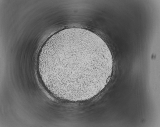 X0000114390049200911131352