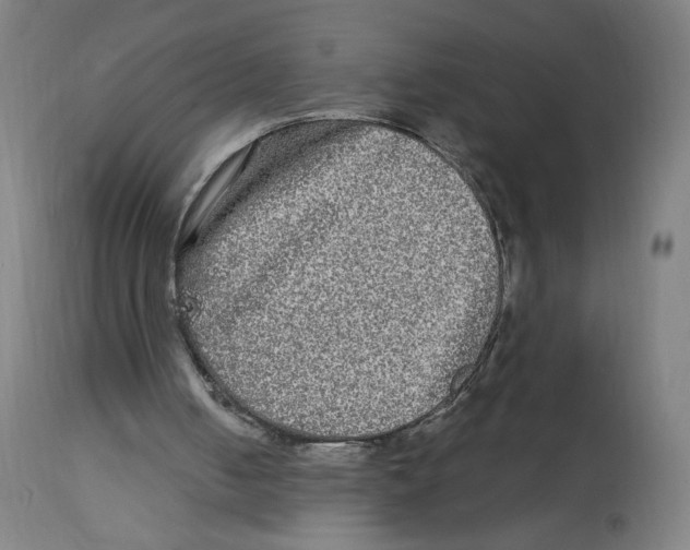 X0000114390050200911131352