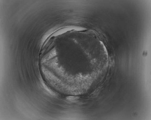 X0000114390051200911131352