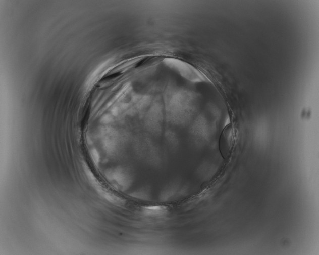 X0000114390053200911131352