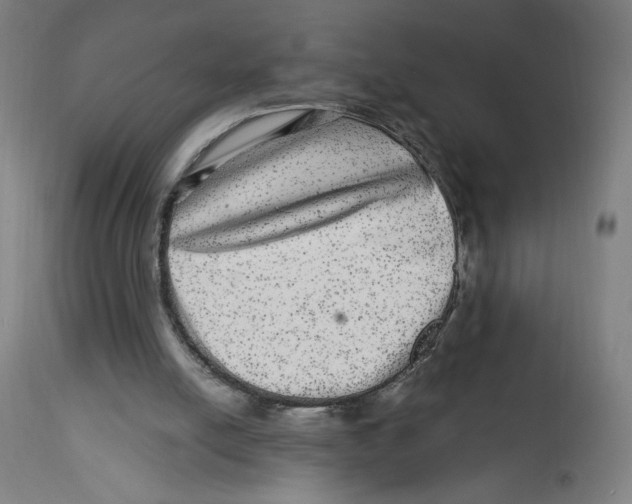 X0000114390054200911131352