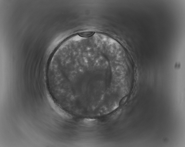 X0000114390055200911131352