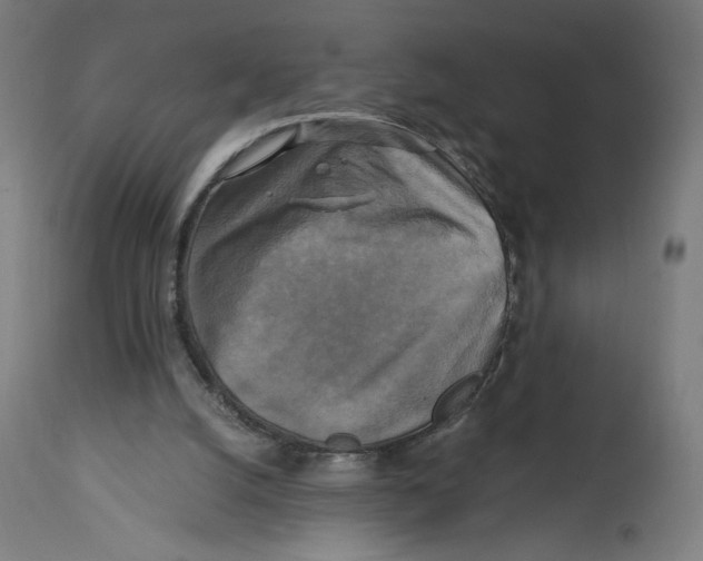 X0000114390056200911131352