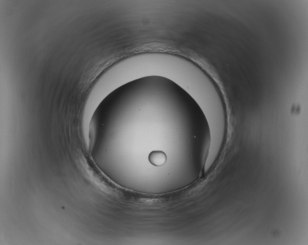 X0000114390057200911131352