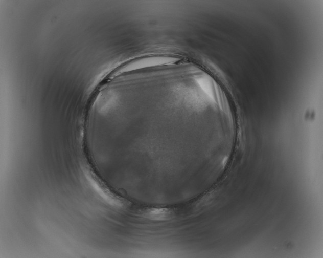 X0000114390059200911131352