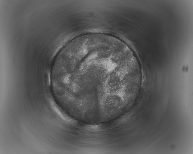 X0000114390061200911131352