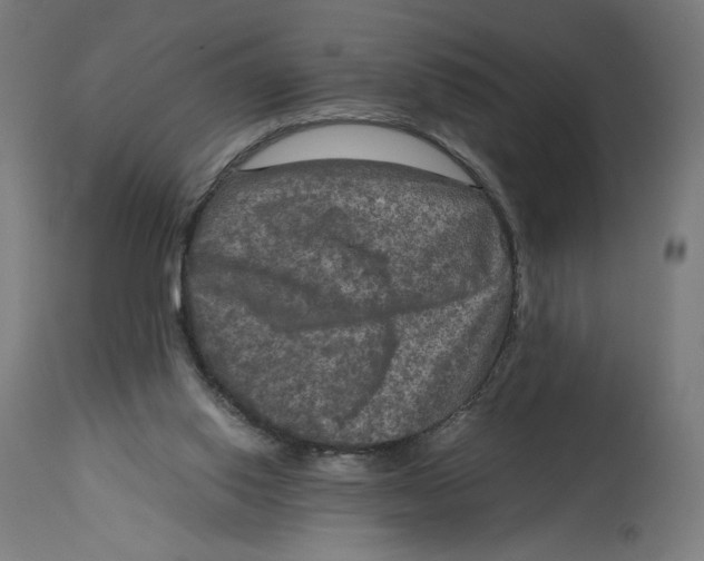 X0000114390062200911131352