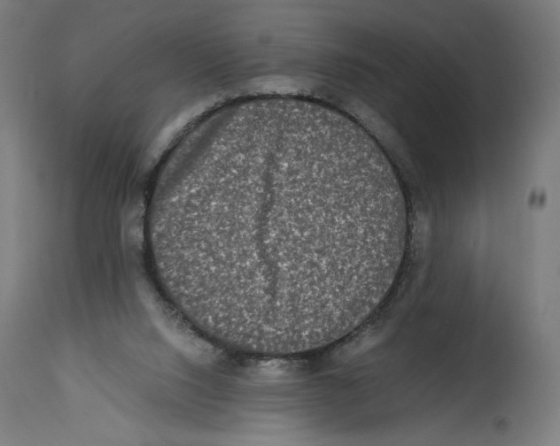 X0000114390064200911131352