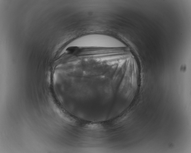 X0000114390067200911131352