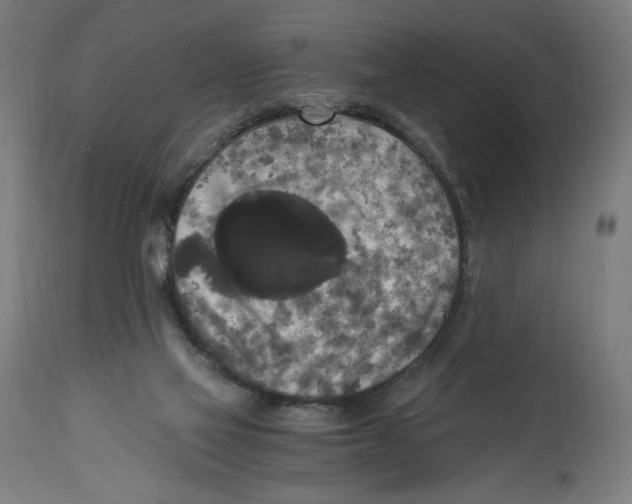 X0000114390069200911131352