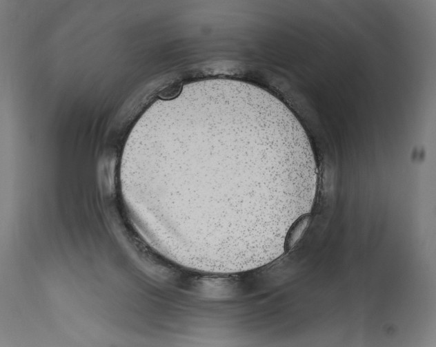 X0000114390070200911131352