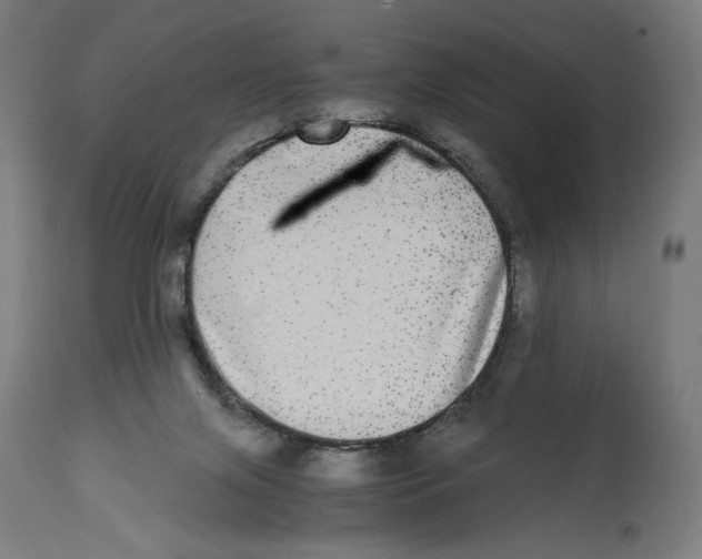 X0000114390071200911131352