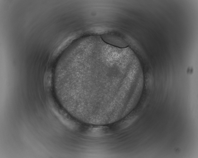 X0000114390072200911131352