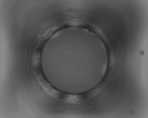 X0000114390073200911131352