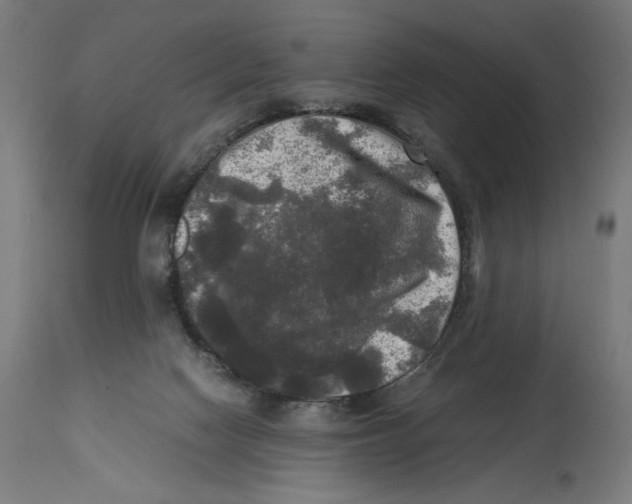 X0000114390074200911131352