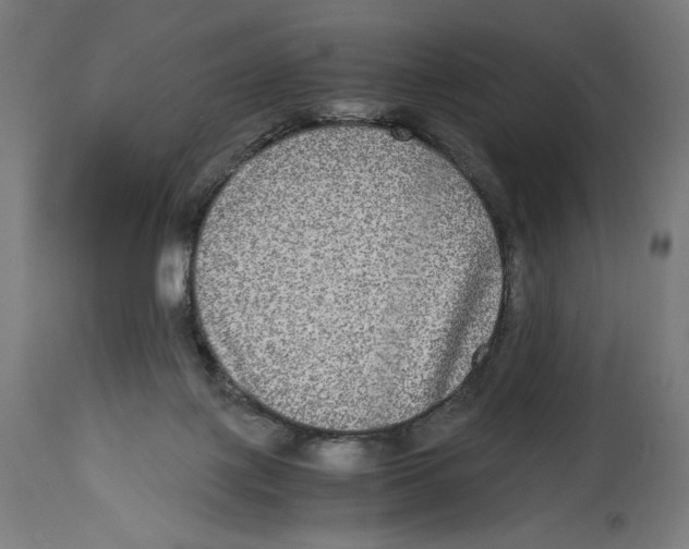 X0000114390075200911131352