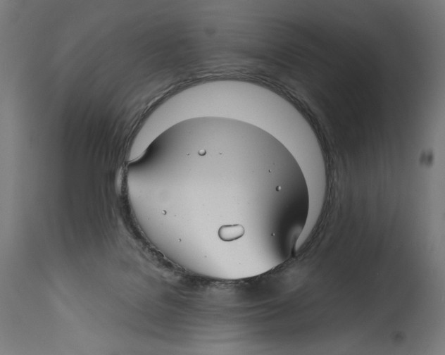 X0000114390076200911131352