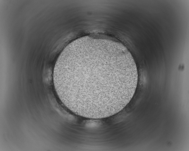 X0000114390077200911131352