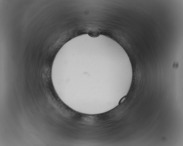 X0000114390079200911131352