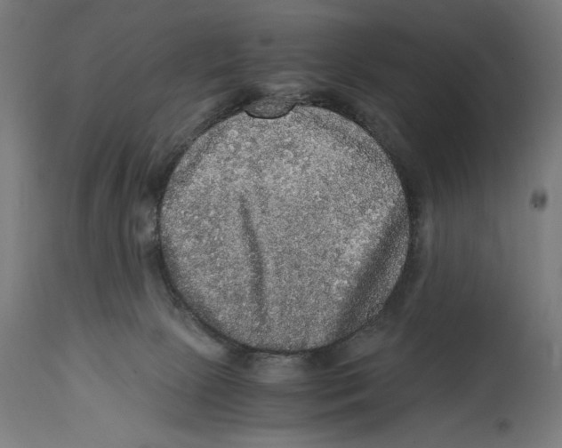 X0000114390081200911131352