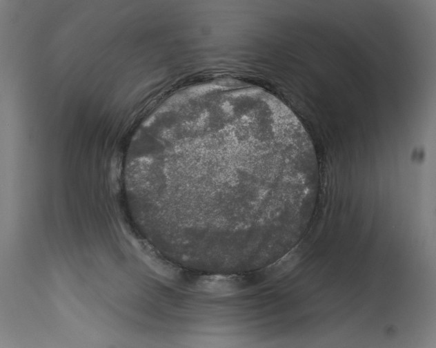 X0000114390082200911131352