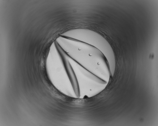 X0000114390084200911131352