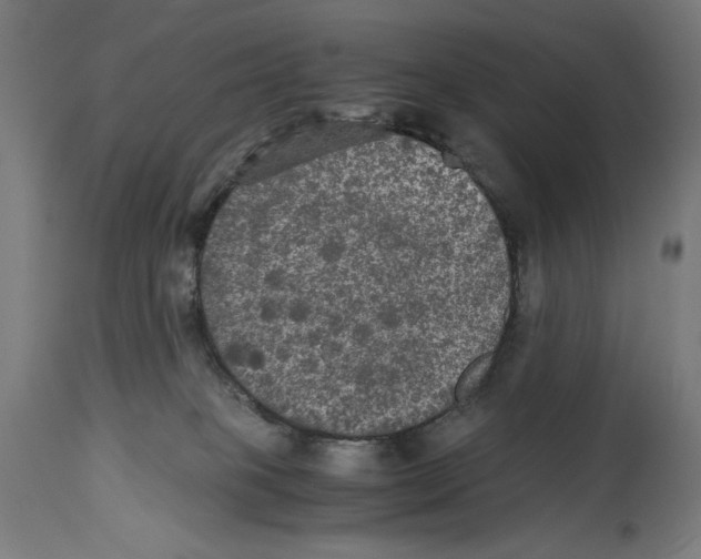 X0000114390085200911131352