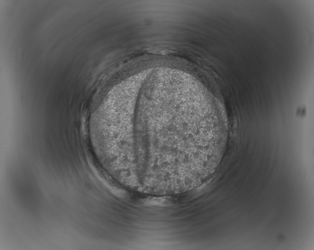 X0000114390086200911131352