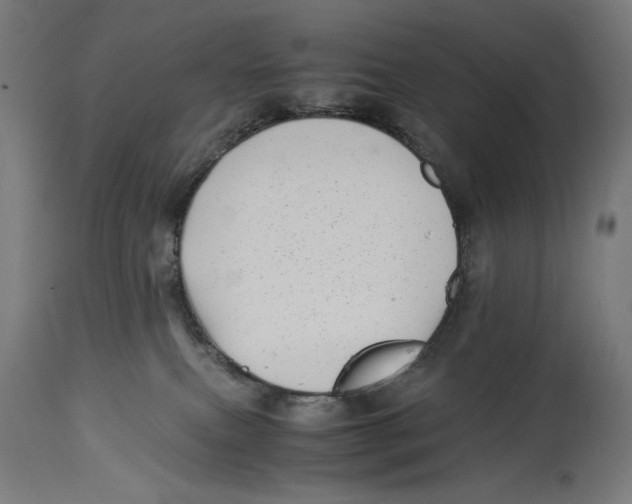 X0000114390087200911131353