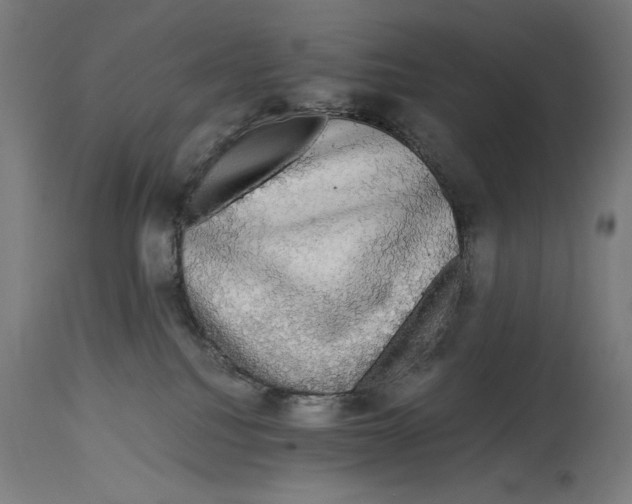 X0000114390088200911131353