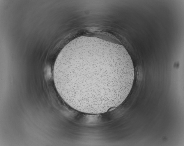 X0000114390089200911131353