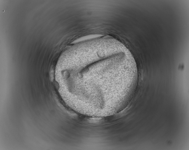 X0000114390090200911131353