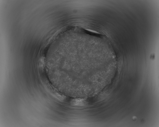 X0000114390093200911131353