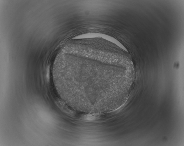 X0000114390094200911131353