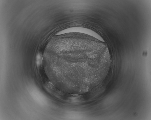 X0000114390095200911131353