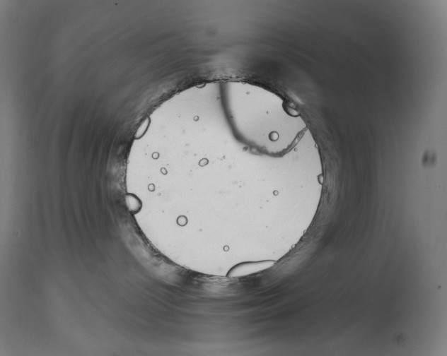 X0000114390096200911131353