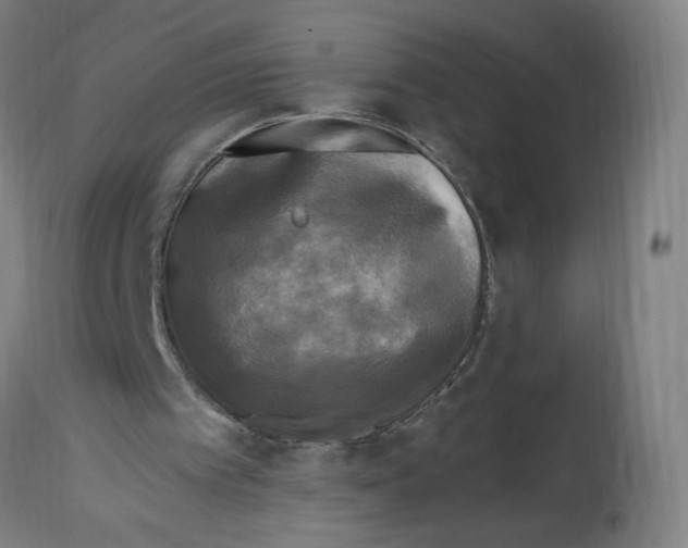 X0000114390097200911131352