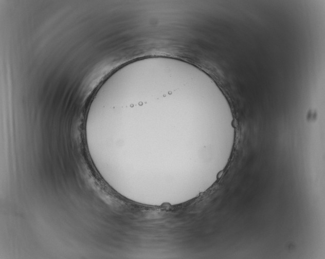 X0000114390098200911131352