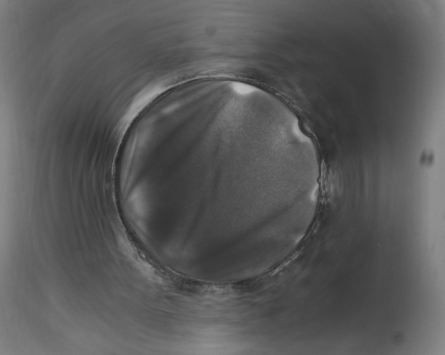 X0000114390099200911131352