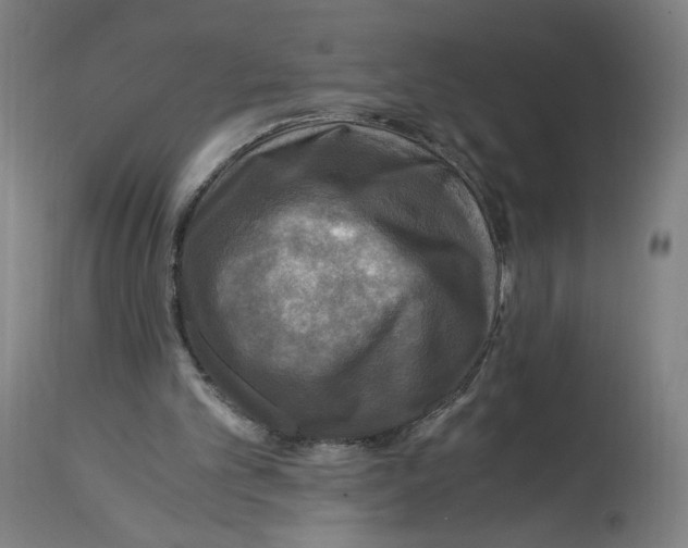 X0000114390101200911131352